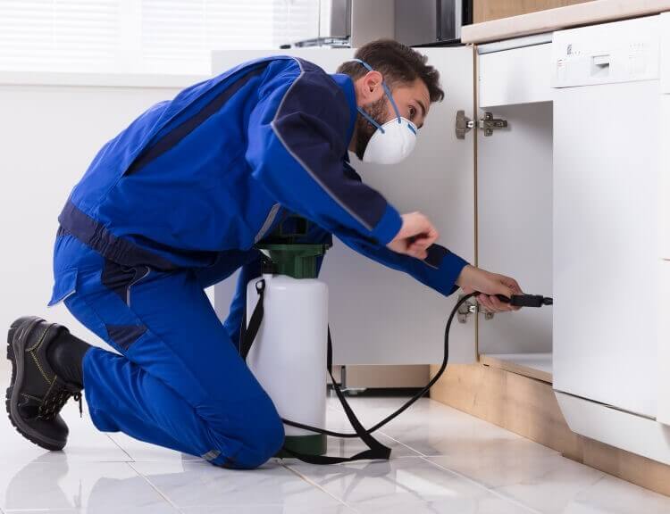 Technician Spraying Pest Control under Kitchen Sink in WI