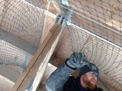 Technician Installing Bird Netting Technician Installing Bird Netting