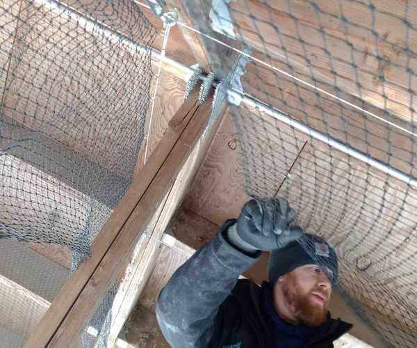Technician Installing Bird Netting Technician Installing Bird Netting