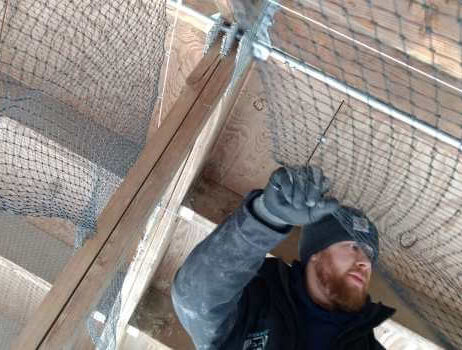 Technician Installing Bird Netting Technician Installing Bird Netting