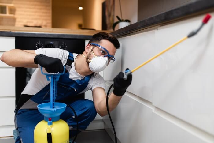 Pest Control Technician in Milwaukee Kitchen