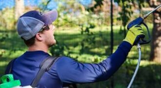 pest treatment pest treatment