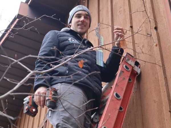 bird-flasher-installation